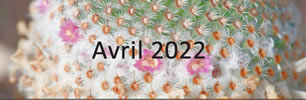 mai-2023